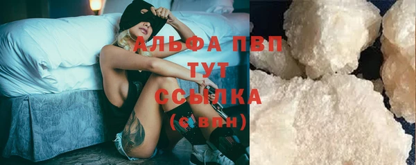 spice Вяземский