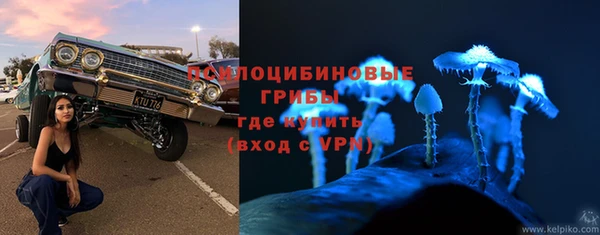 spice Вяземский
