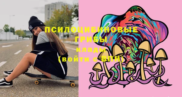 спиды Вязьма